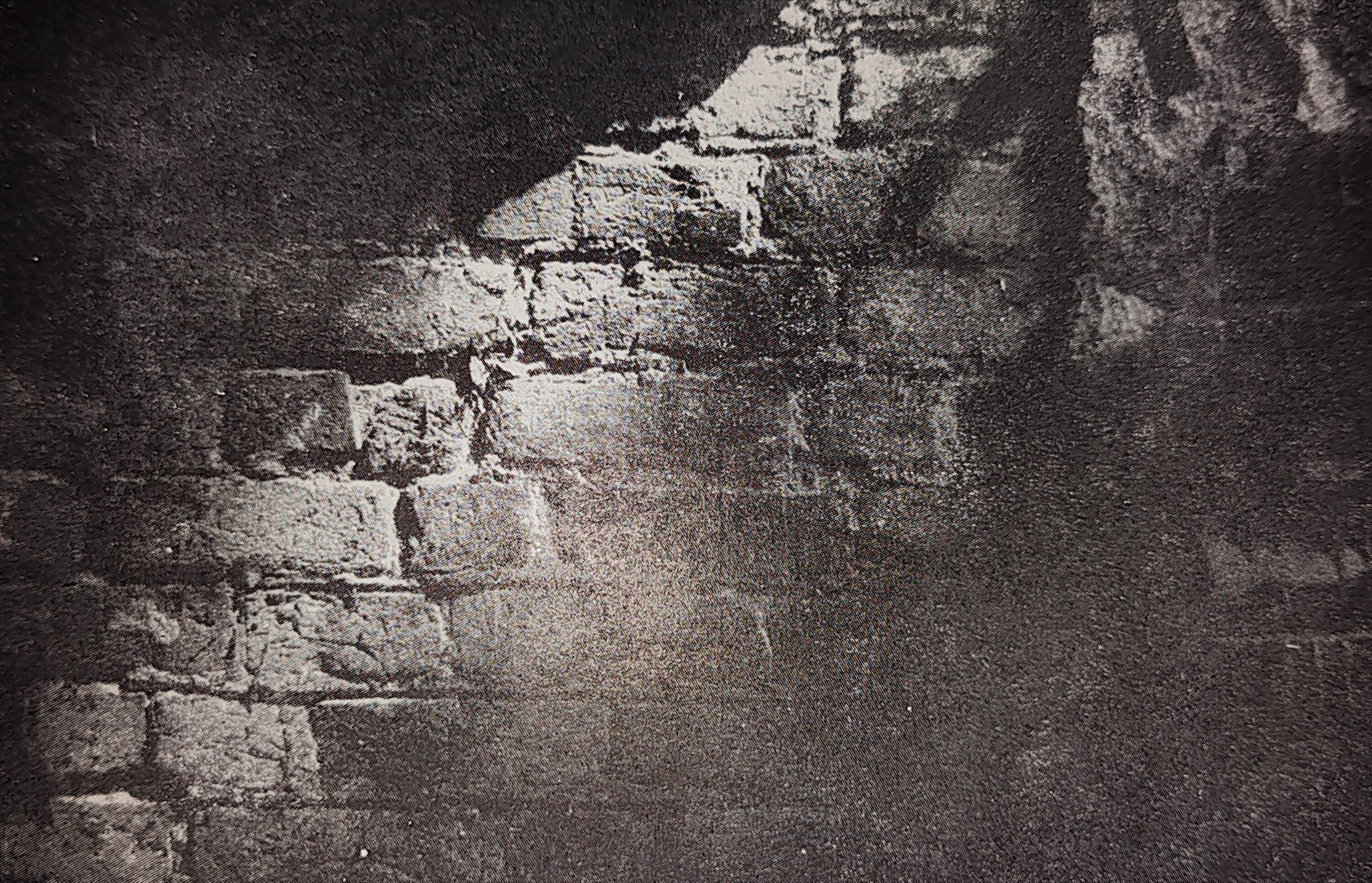 Kościół Urszulanek (Klarysek) we Wrocławiu. Fot. T. Przypkowski, Źródło: M. Zlat, Ratusz wrocławski.