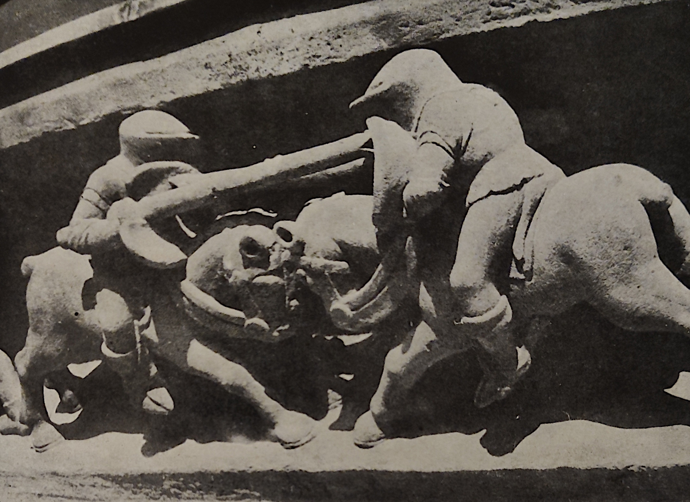 Ratusz we Wrocławiu, fryz górny na fasadzie południowej. Fot. K. Gorazdowska. Źródło: M. Zlat, Ratusz wrocławski.